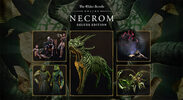 The Elder Scrolls Online Deluxe Collection: Necrom (PC) Steam Key GLOBAL