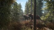 Get theHunter: Call of the Wild (PC) Steam Key LATAM