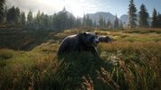 theHunter: Call of the Wild Steam Key EUROPE for sale