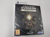 Endless Dungeon: Day One Edition PlayStation 4