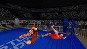 Get Wrestlers Without Boundaries (PC) Steam Key GLOBAL