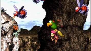 Buy Donkey Kong Country 3: Tag Team Trouble SNES