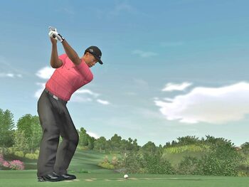 Tiger Woods PGA Tour 07 Wii for sale