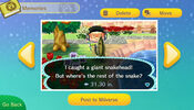 Redeem Animal Crossing Plaza Wii U