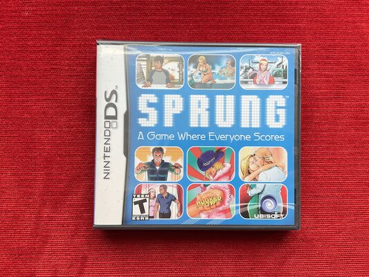 Sprung Nintendo DS