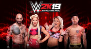 Buy WWE 2K19 - Season Pass (DLC) (PC) Steam Key EUROPE