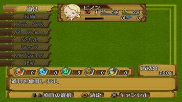 PoPoLoCrois: Tsuki no Okite no Bouken PlayStation 2 for sale