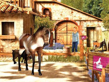 Petz Horsez 2 Nintendo DS