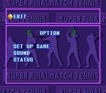 Buy Final Match Tennis PlayStation