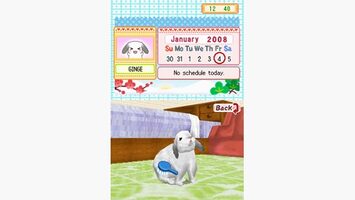Petz Bunnyz Nintendo DS for sale