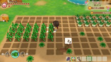 STORY OF SEASONS: Friends of Mineral Town PlayStation 4