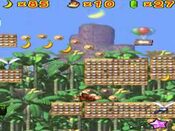 Donkey Kong: Jungle Climber Nintendo DS