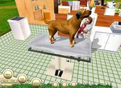 Get Paws and Claws: Pet Vet (PC) Steam Key GLOBAL
