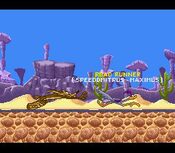 Road Runner's Death Valley Rally SNES