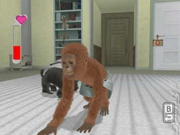 Buy Petz: Crazy Monkeys Wii