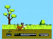 Redeem Duck Hunt (1984) NES