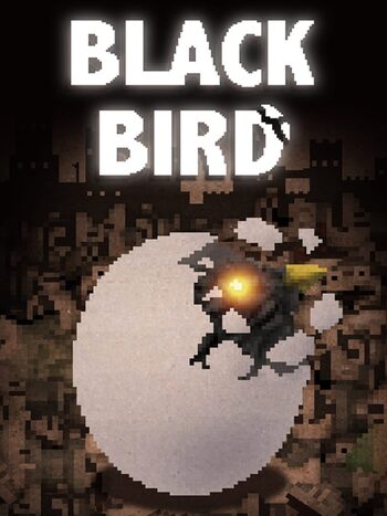 BLACK BIRD Nintendo Switch