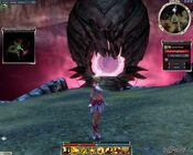 Get Guild Wars Complete Collection Official Website Key EUROPE