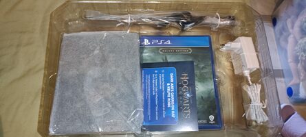 Get Hogwarts Legacy Collector's Edition PlayStation 4